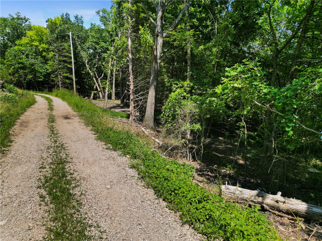 Big Clifty Shores Unit 1 - Land
