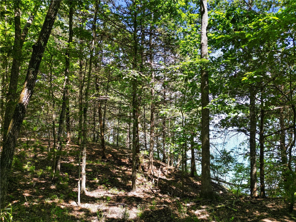 Big Clifty Shores Unit 1 - Land