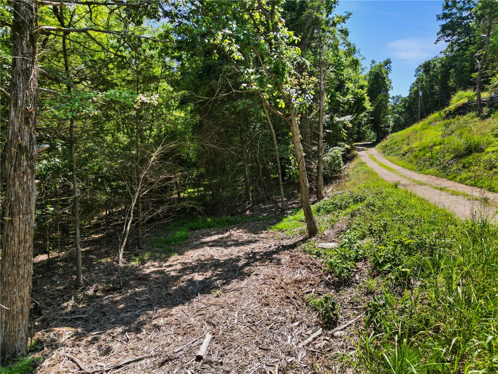Big Clifty Shores Unit 1 - Land