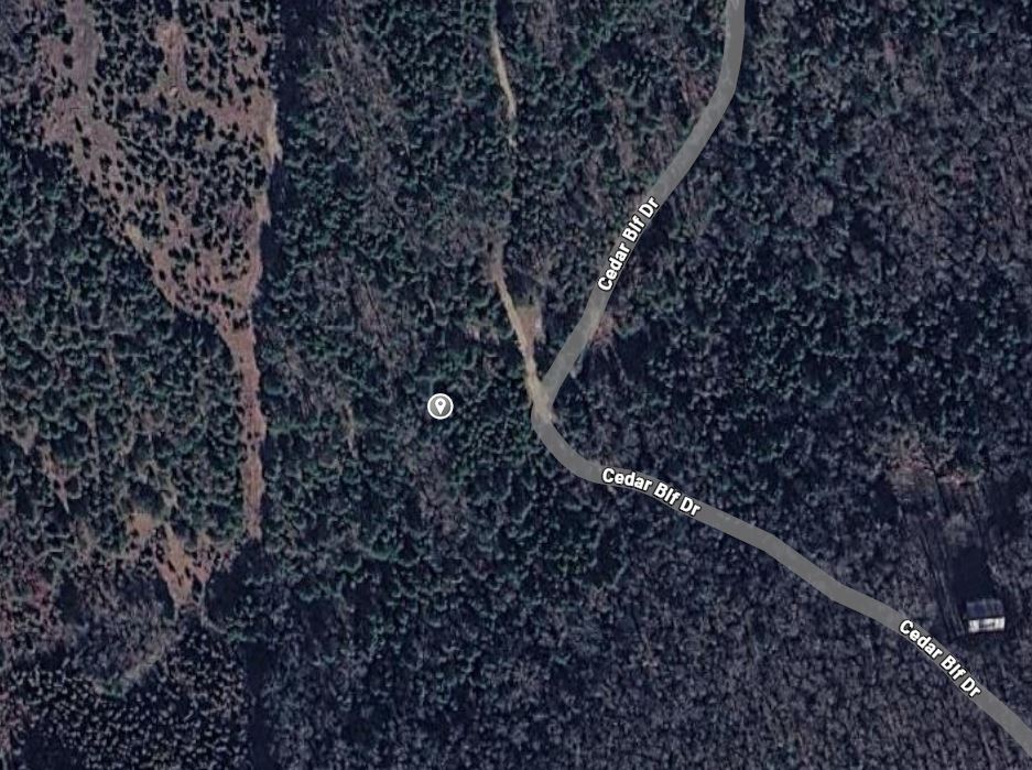 Come check out this wooded 10 Acres m/l with a nice building site. No Restrictions.