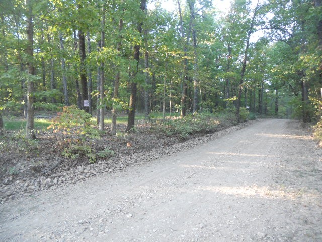 Large flat area with mature Hardwoods with a view to build your cabin or dream home in the heart of the Ozarks.  Easy access to well maintained county road, only a short drive to the Buffalo National River.