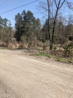 Beautiful 5.5 acres outside the city limits of Atkins. It's partially cleared and wooded areas with lots of wildlife in the cove. This property has a well, septic and electricity,also you can have city water installed. Come and see the peaceful beauty of the cove.