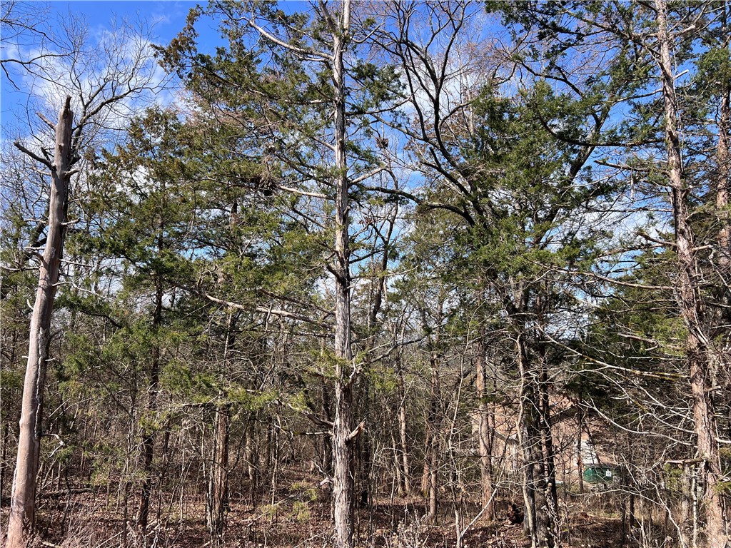 Vacant lot great for your next dream home. The POA fee is the Holiday Island fee and the lot is must follow the Holiday Island rules and regulations. More pictures coming soon.