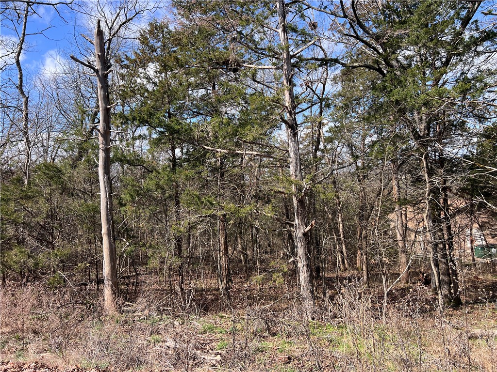 Unit 10 Holiday Island - Land