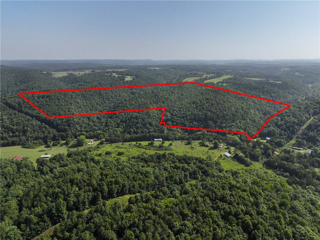 Discover you own private retreat with apx. 106 acres of beautiful rural land. Whether you're looking for the perfect hunting property, a secluded getaway, or the ideal location to build you dream home this property offers endless possibilities Enjoy peace, privacy and abundant wildlife in a truly secluded setting, An old cabin is located on the property and adds to its rustic charm. The cabin is not safe to enter, Feel free to view it from the outside, but do not go inside. Drone footage coming soon.