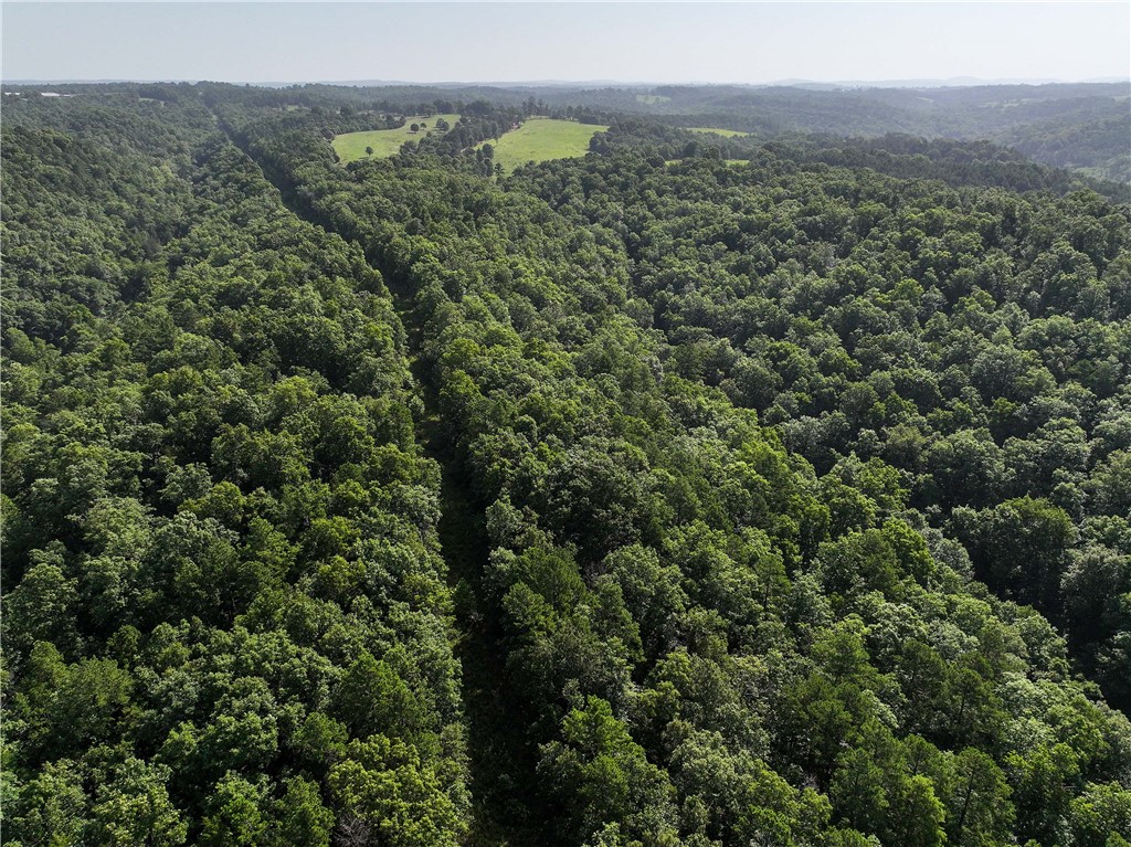 Rural Sections - Land