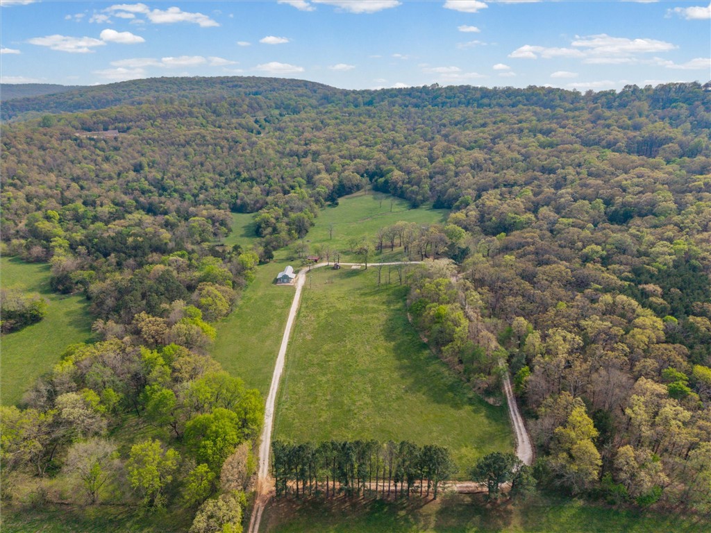 Whether you are looking for a permanent home or a weekend retreat, this property has a lot to offer. Surrounded on three sides by rolling hills and natural forest, the peaceful valley setting is beautiful in all seasons, but stunning in the fall. Minutes from Historic Canehill, the remodeled A-frame home sits just down a well-maintained gravel road with easy access from Fayetteville, Ft. Smith, or Siloam Springs. Nice mixture of woods and open fields along with a pond and wet weather creek. ATV trails run throughout the property. The end-of-the-road location offers privacy, seclusion, and peace. The charming cabin has been completely remodeled but retains the 1970s charm with its vaulted ceilings, wall of windows, stone fireplace, and original pine floors. Don’t miss the recent (2025) barn conversion with its additional bath, full kitchen, and extra storage. There is City water and a well that is plumbed to supply the A-frame, guesthouse, and gardens. Additional acreage available see MLS 1342083