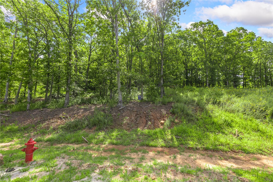 The groundwork is already done for you! This lot comes fully equipped with underground utilities already in place, including natural gas, fiber optic internet, electric, public water, and sewer. No waiting, no guesswork, no costly setup—just a smooth, ready-to-build opportunity from day one.  RME is the newest subdivision in Harrison, AR. If you’ve been dreaming of trading city lights for star-filled skies, RME delivers. Beyond your homesite, you’ll have access to a 350 acre common area reserved for residents, featuring a stocked fishing pond, Kissing Rock Trail, natural springs, Baby Canyon Trail, striking bluff lines and views that stretch for miles. *Terrapin Creek Rd will be paved to the entrance of Round Mountain Estates in the near future, per county officials.