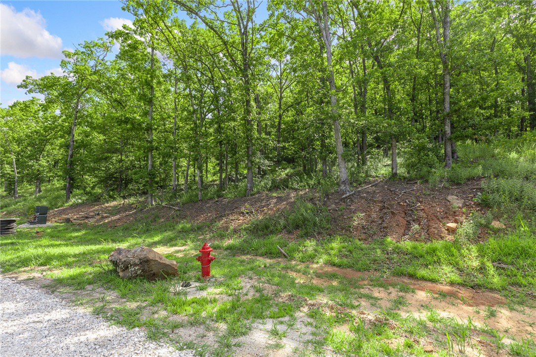 Round Mountain Estates - Land
