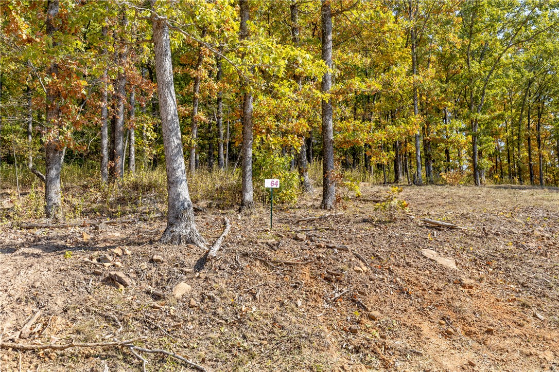 Round Mountain Estates - Land