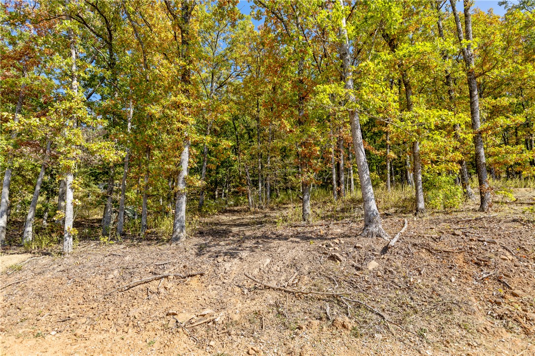 Round Mountain Estates - Land