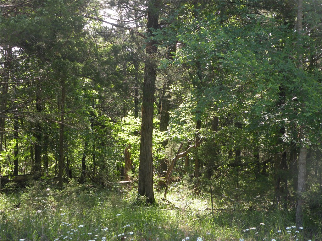 Unit 5 Holiday Island - Land
