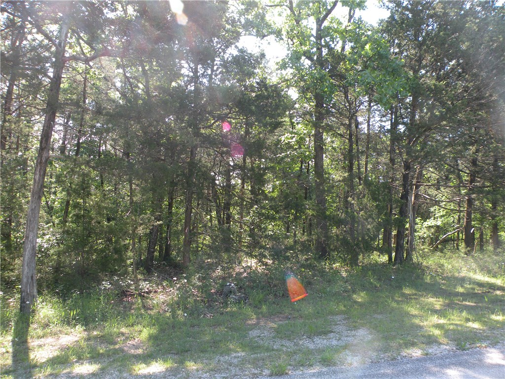 Unit 5 Holiday Island - Land