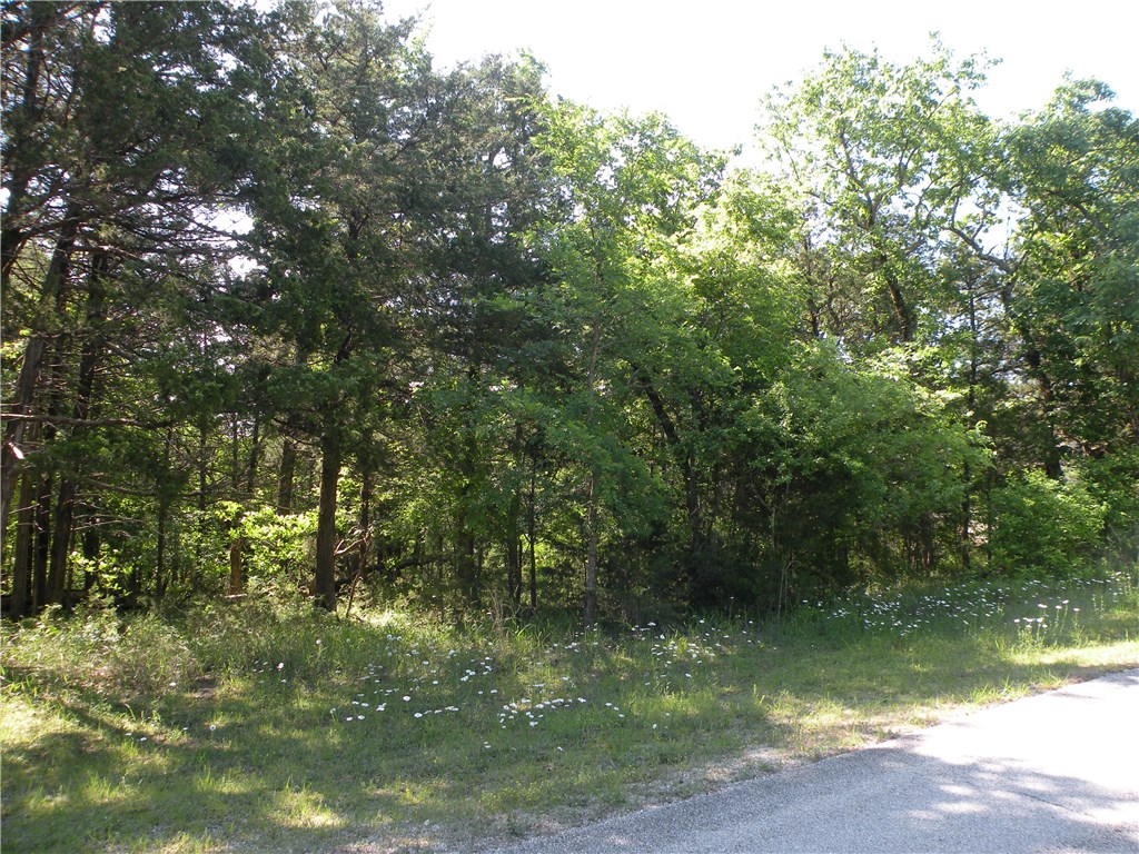 Very nice flat building lot that has a little view from the rear/east facing side of the property. Nice homes all around it.