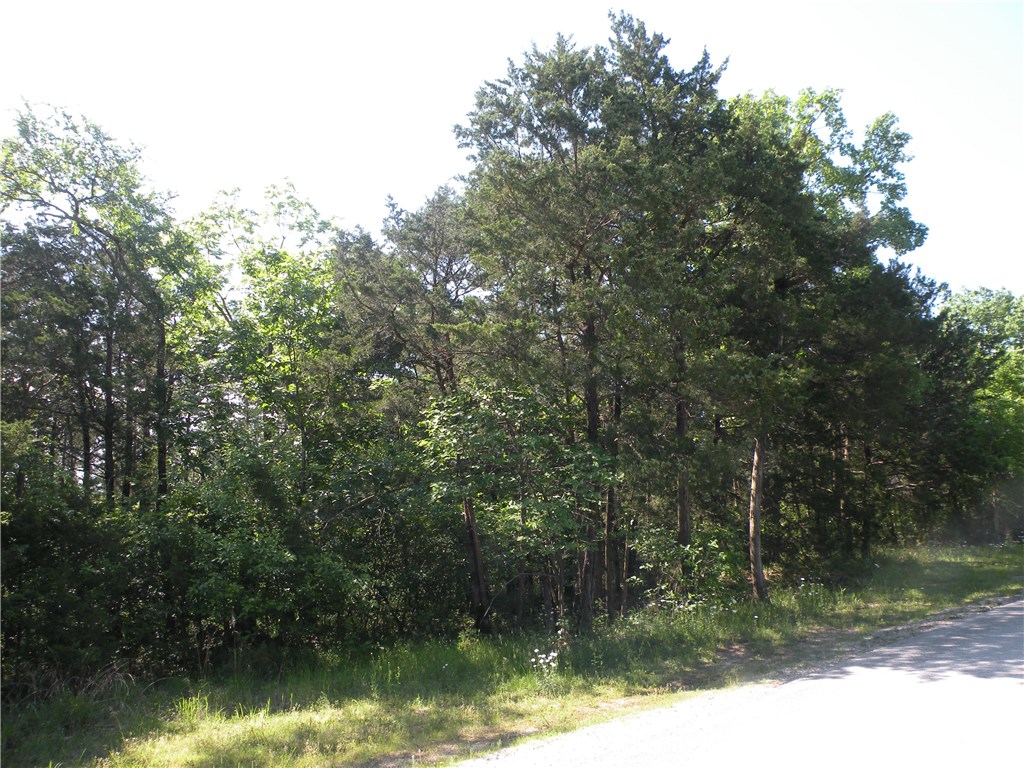Unit 5 Holiday Island - Land