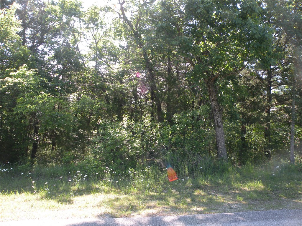 Unit 5 Holiday Island - Land