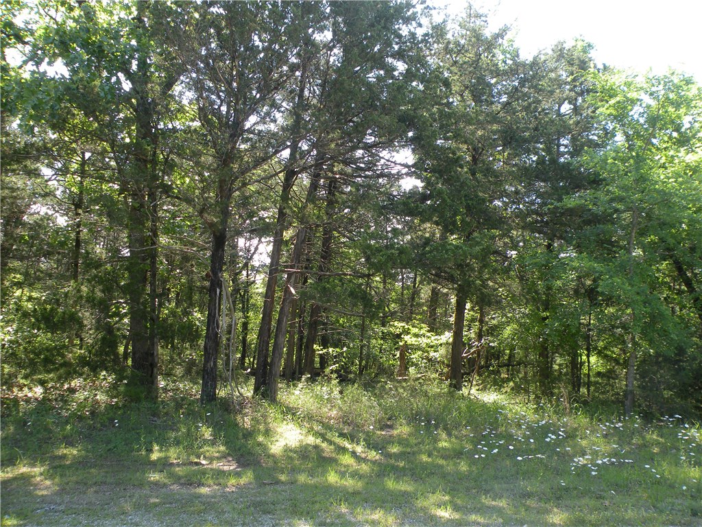 Unit 5 Holiday Island - Land