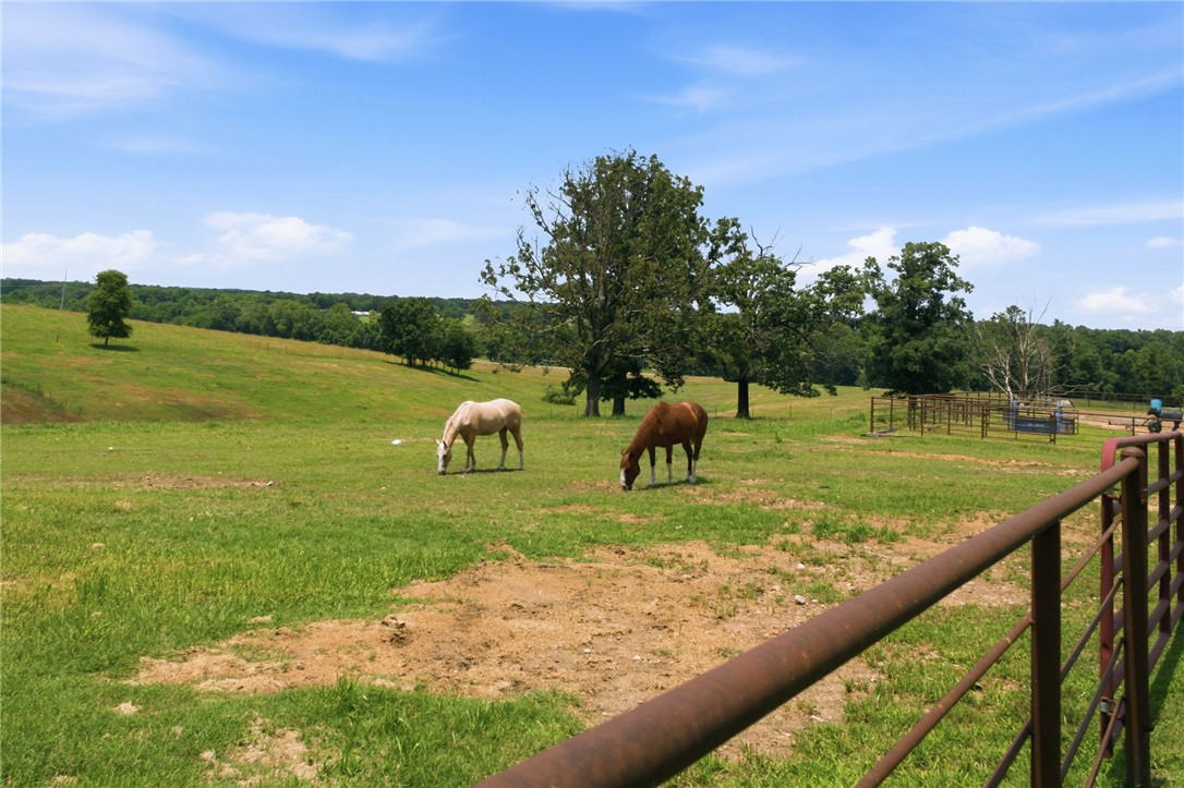 Rural - Residential