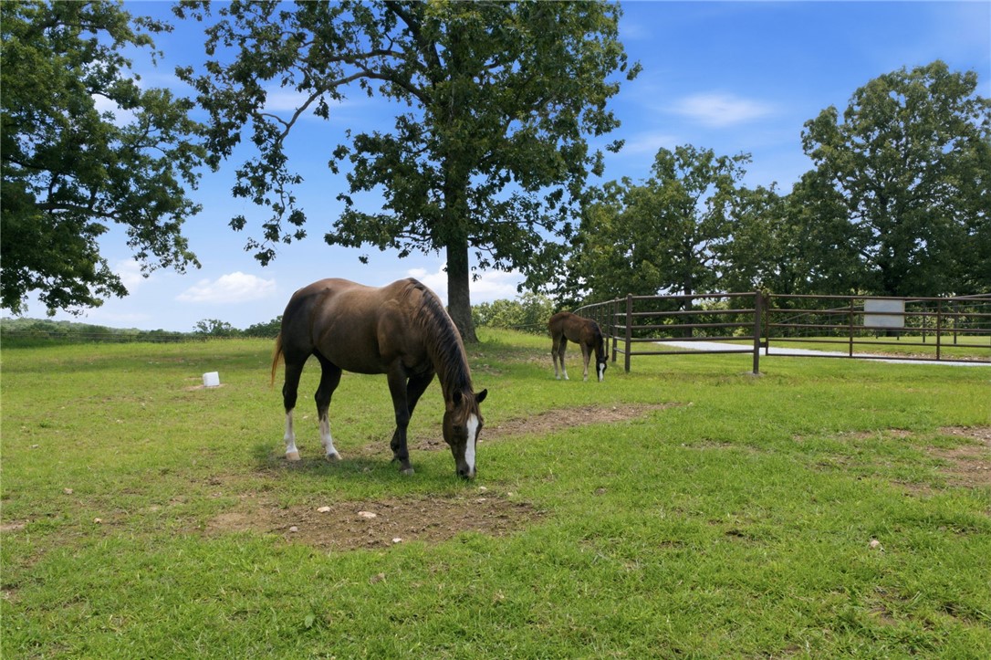 Rural - Residential