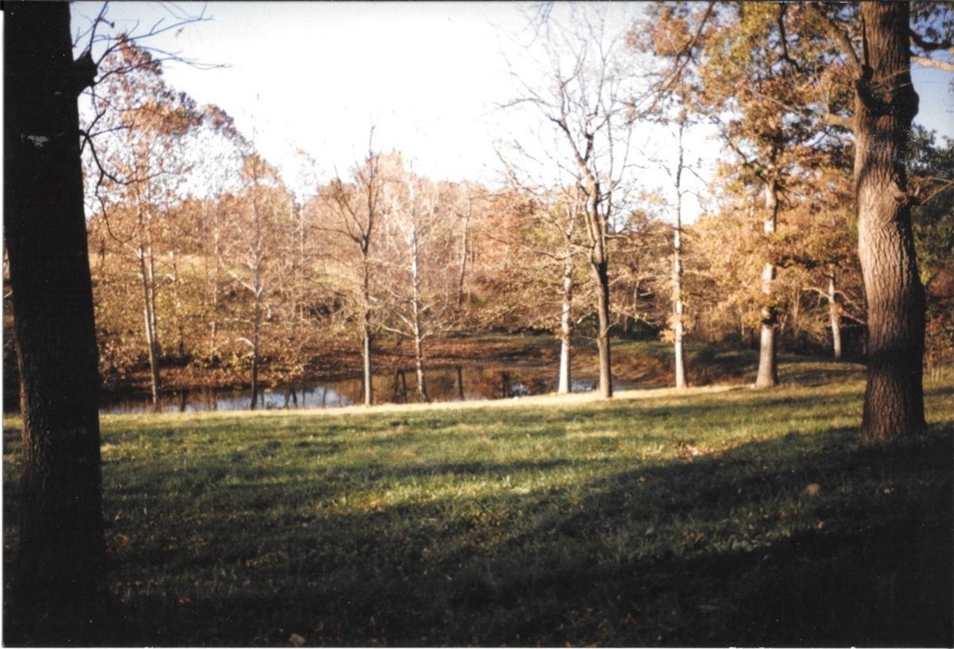 none - Residential