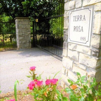 A beautiful 500-acre mountain ranch just ten minutes outside of charming Eureka Springs, a popular
destination in the Ozarks. Enjoy a secluded mountainside home with exceptional views. This turnkey
working ranch comes with a fully furnished home, free-range angus cattle, an organic skin care business, chickens, orchard, greenhouse, gardens, wells, farm equipment, etc. all managed and cared for by a local couple with decades of experience.