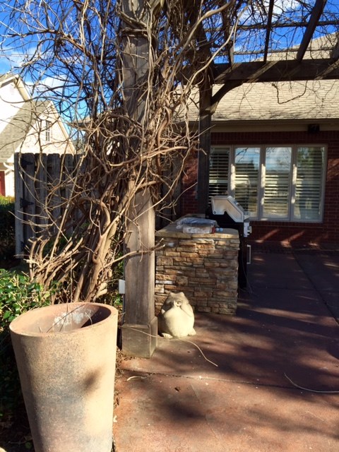 Paradise Place - Residential Lease