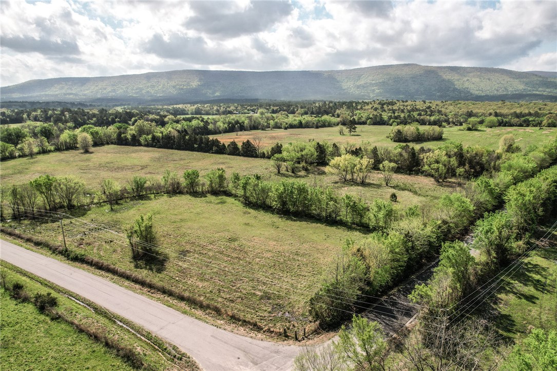 Gorgeous property with a stunning view of Poteau Mountain. Mostly cleared and used for hay meadows. Would be a beautiful home-site and continued use for farming. Development potential for poultry farms or private commercial. Would also be ideal for environmental credits.