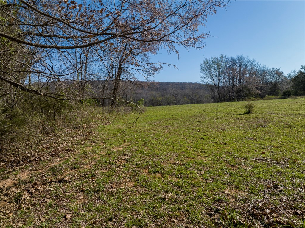 Beautiful 28+ acres, 10 minutes south of Prairie Grove. Tucked away with rolling hills and open spaces. Large spring fed pond and second shared pond. Ozarks Electric at the street. Well needed. No deed restrictions or covenants.