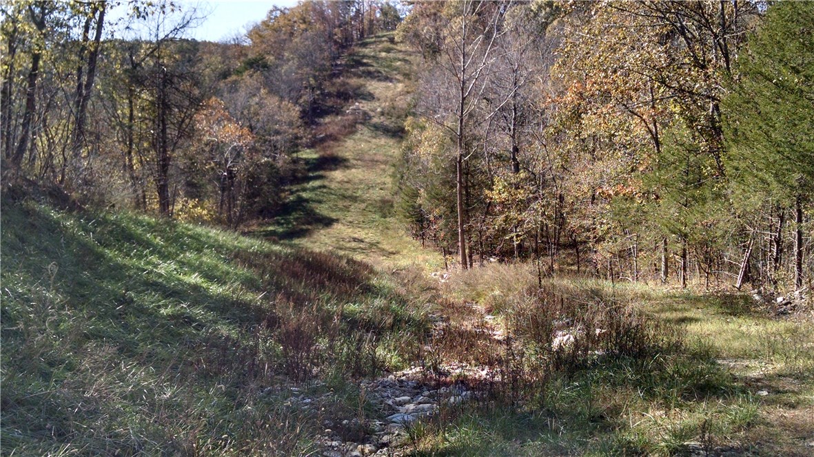 - - Land