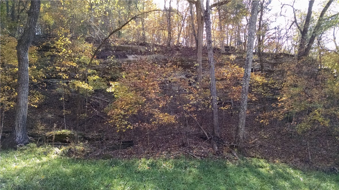 - - Land