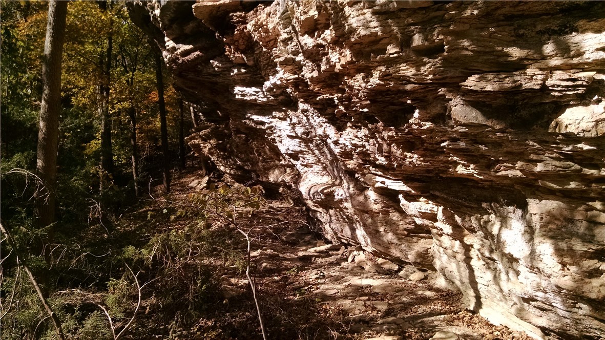 - - Land
