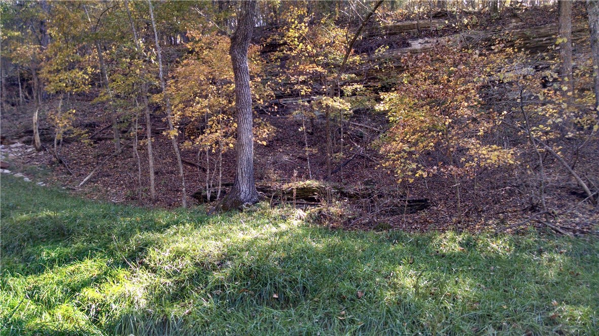 - - Land