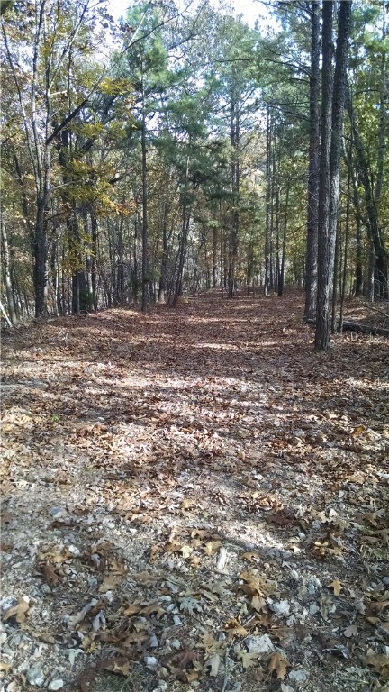 - - Land