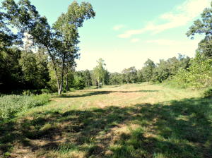 Pretty 80 ac located only 12 mi from Harrison and also near Bull Shoals Lake. Awesome hunting property with small hunting cabin. Creek. Pasture. Woods. 4 wheeler trails. Road dead-ends at property. Attached wildlife pictures were taken on this property in the last few years. Property has recently been used as a family hunting camp.