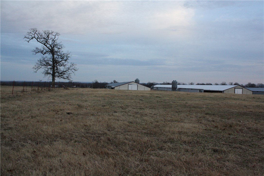 - - Farm