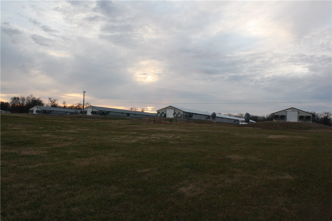 - - Farm