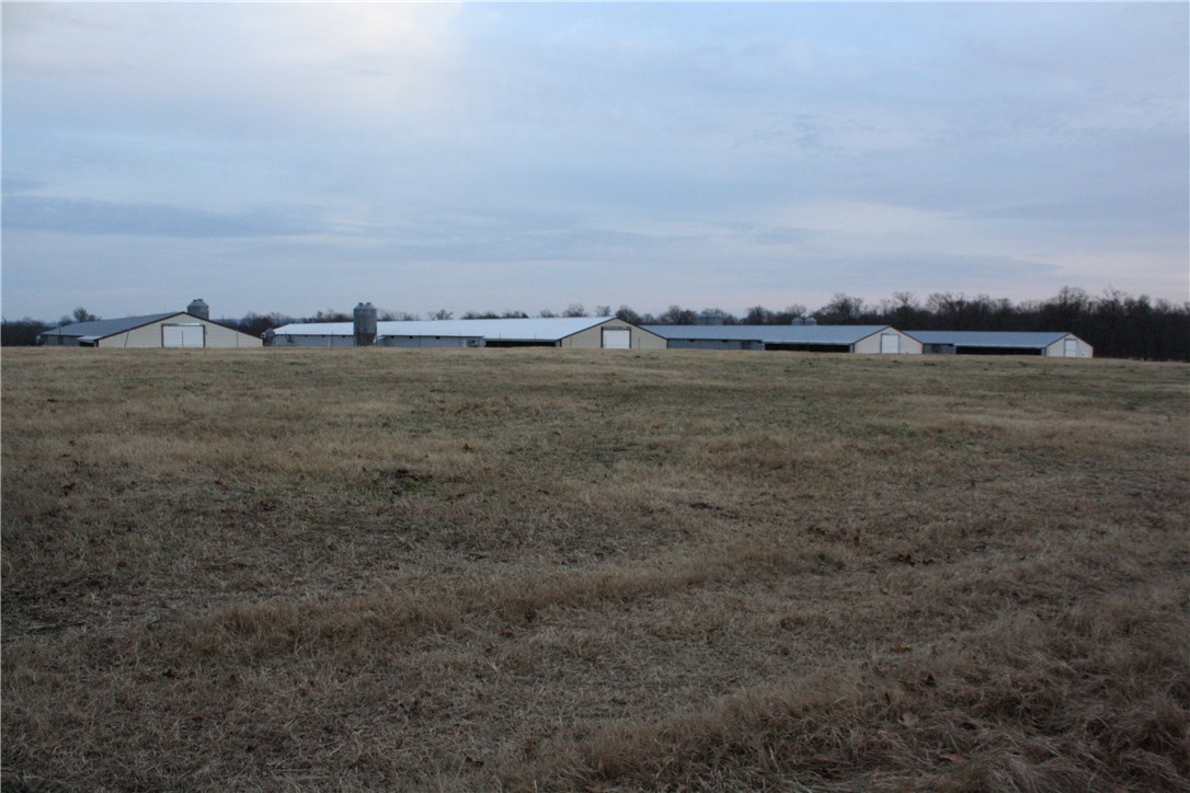 - - Farm