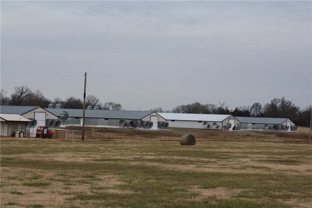 - - Farm