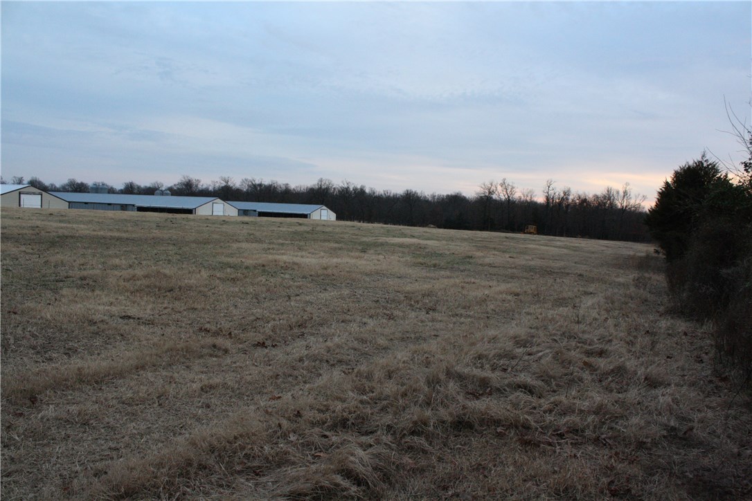 - - Farm