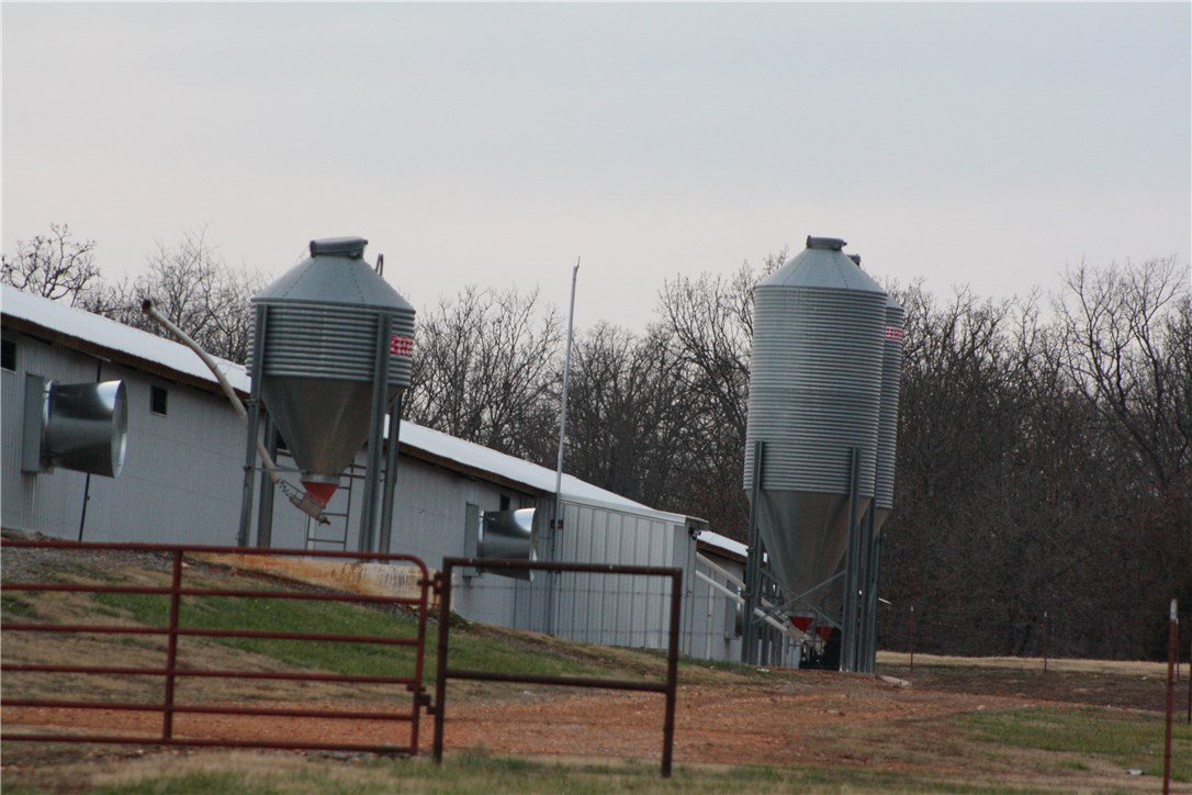 - - Farm
