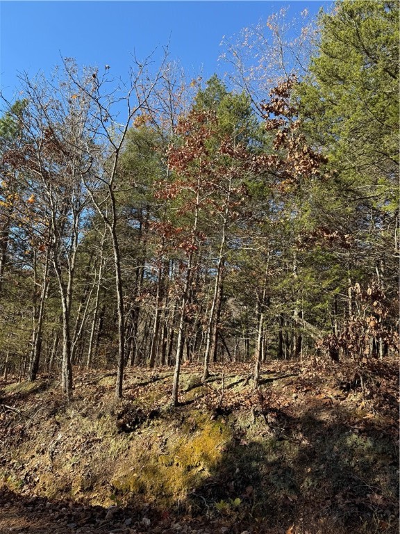 Posy Mountain Ranch Unit 8 Rurban - Land