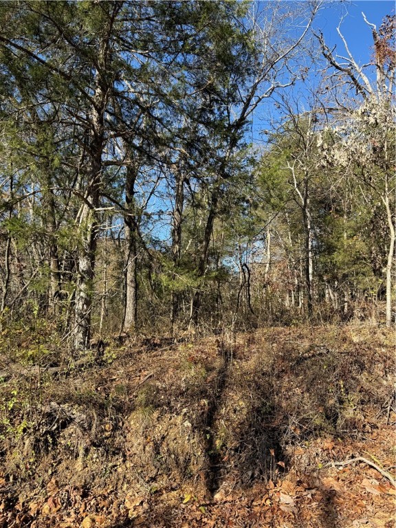 Posy Mountain Ranch Unit 8 Rurban - Land