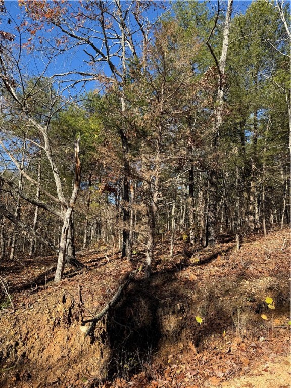 Posy Mountain Ranch Unit 8 Rurban - Land