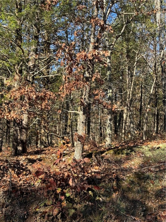 Posy Mountain Ranch Unit 8 Rurban - Land