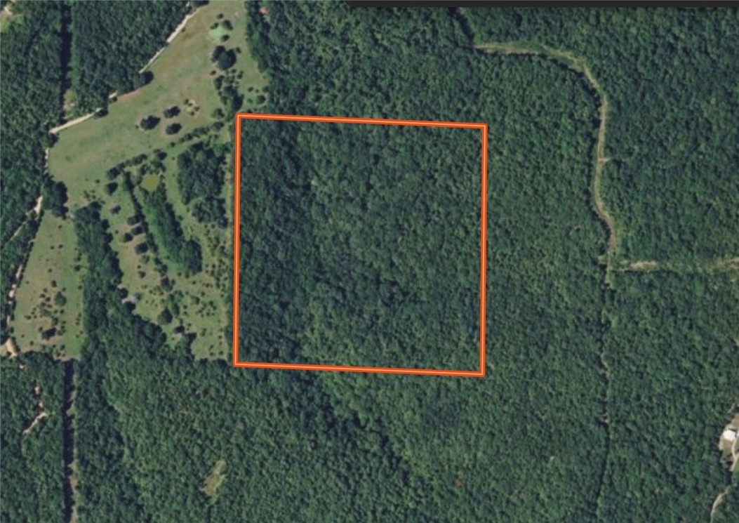 40 beautiful acres conveniently located just off Hwy 412, just down the road from Osage, with easy access to Alpena and approximately 30 minutes to Huntsville. This scenic property features mature hardwood timber, a wet weather creek, and electric in close proximity, offering a peaceful natural setting with abundant wildlife and endless potential for recreational use, hunting, or a private getaway. The property is currently landlocked, and the seller is actively working to secure an easement for access. Additional adjoining acreage is also available for purchase, which could provide alternative access options and eliminate the easement concern for buyers seeking more land.