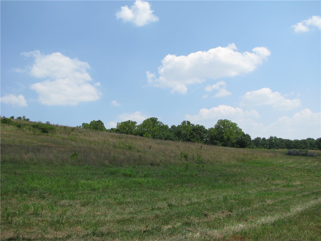 Great Location In Established Neighborhood. Just a few lot's left in Phase II to build your custom dream home. Ideally located near schools, medical, downtown Bentonville & the trail system. Act now and choose your custom home site today !