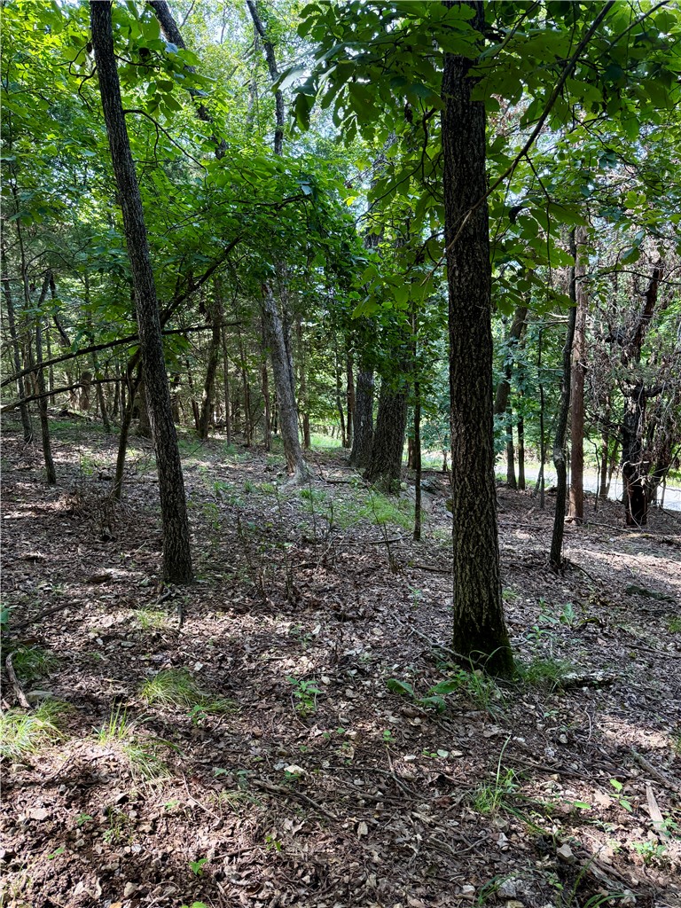 MOULDER HOLLOW SECTION III-RURBAN - Land