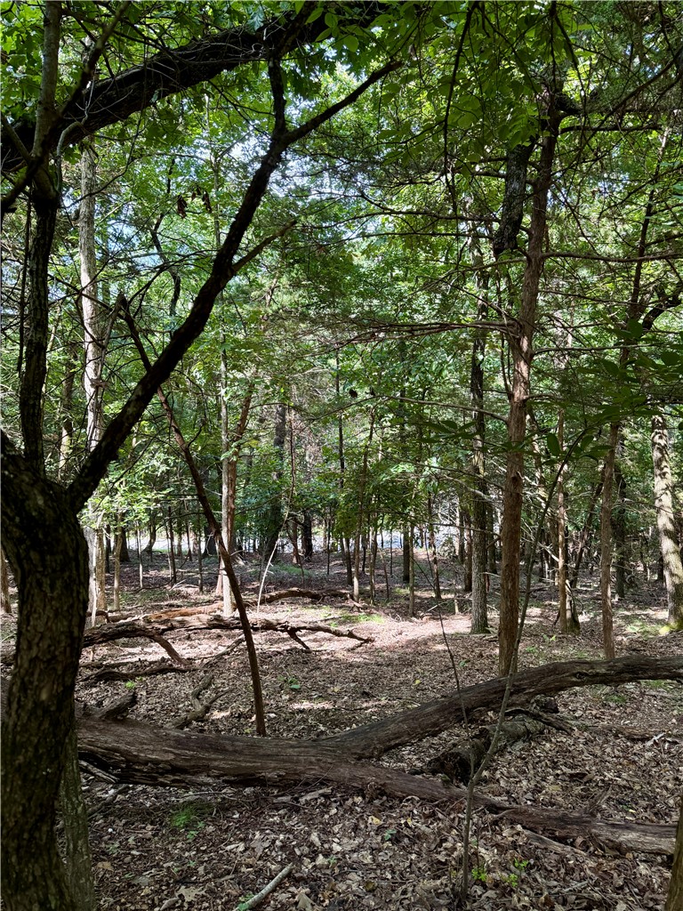 MOULDER HOLLOW SECTION III-RURBAN - Land