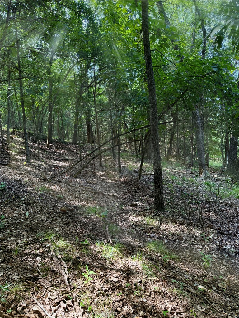Tucked away in the peaceful area of Lost Bridge Village, this lot is the perfect place to build your lake home or getaway where you can reconnect with nature. Lake views, towering trees, water falls after a rain, and unique rock formations greet you as you meander from Garfield to Pine Dr. Boat ramps are just minutes away from the property for your enjoyment of the beautiful waters of Beaver Lake. A community pool, courts, recreation complex, and airstrip make this lake community unique. Best of all; water, sewer, and electric are at the street simplifying the building process.