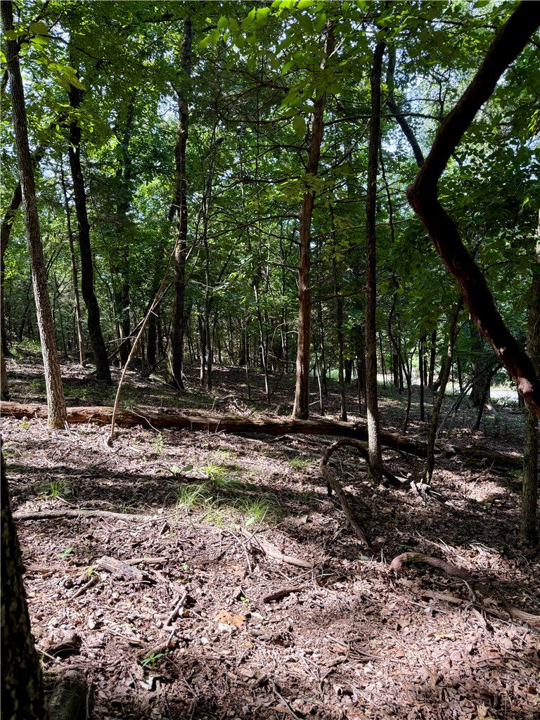 MOULDER HOLLOW SECTION III-RURBAN - Land